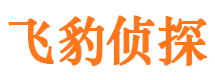 永宁外遇调查取证